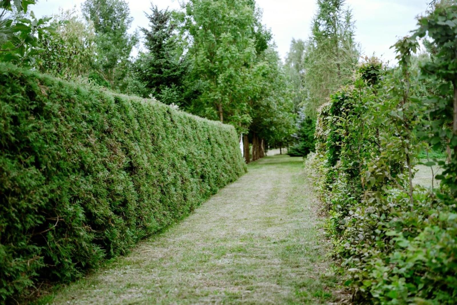 Zielona Parcela Pisz Buitenkant foto