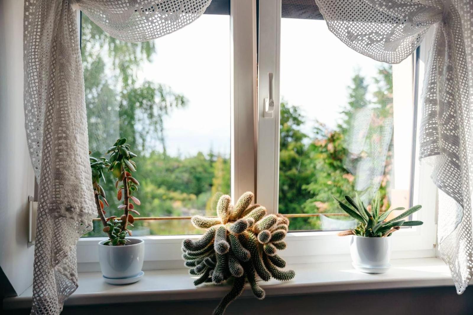 Zielona Parcela Pisz Buitenkant foto